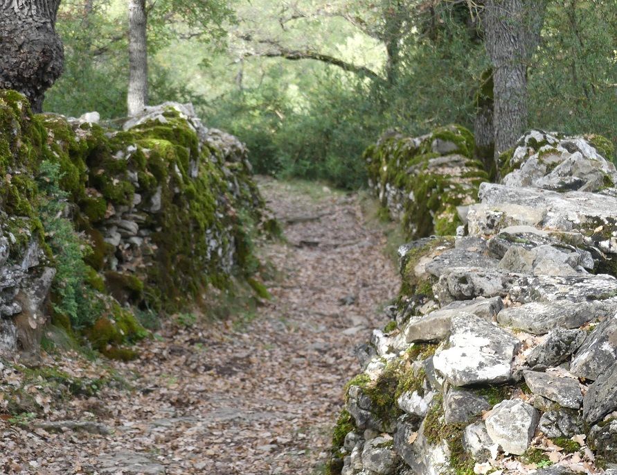 Séjour de découverte du Couserans Ariégeois en randonnée à pied pendant l'été